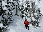 5 Quì sotto i miei piedi dovrebbe esserci il sentiero